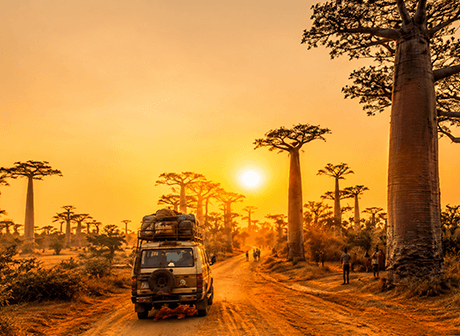 4x4 chargé sur une piste de terre dans l'allée des baobabs au coucher du soleil