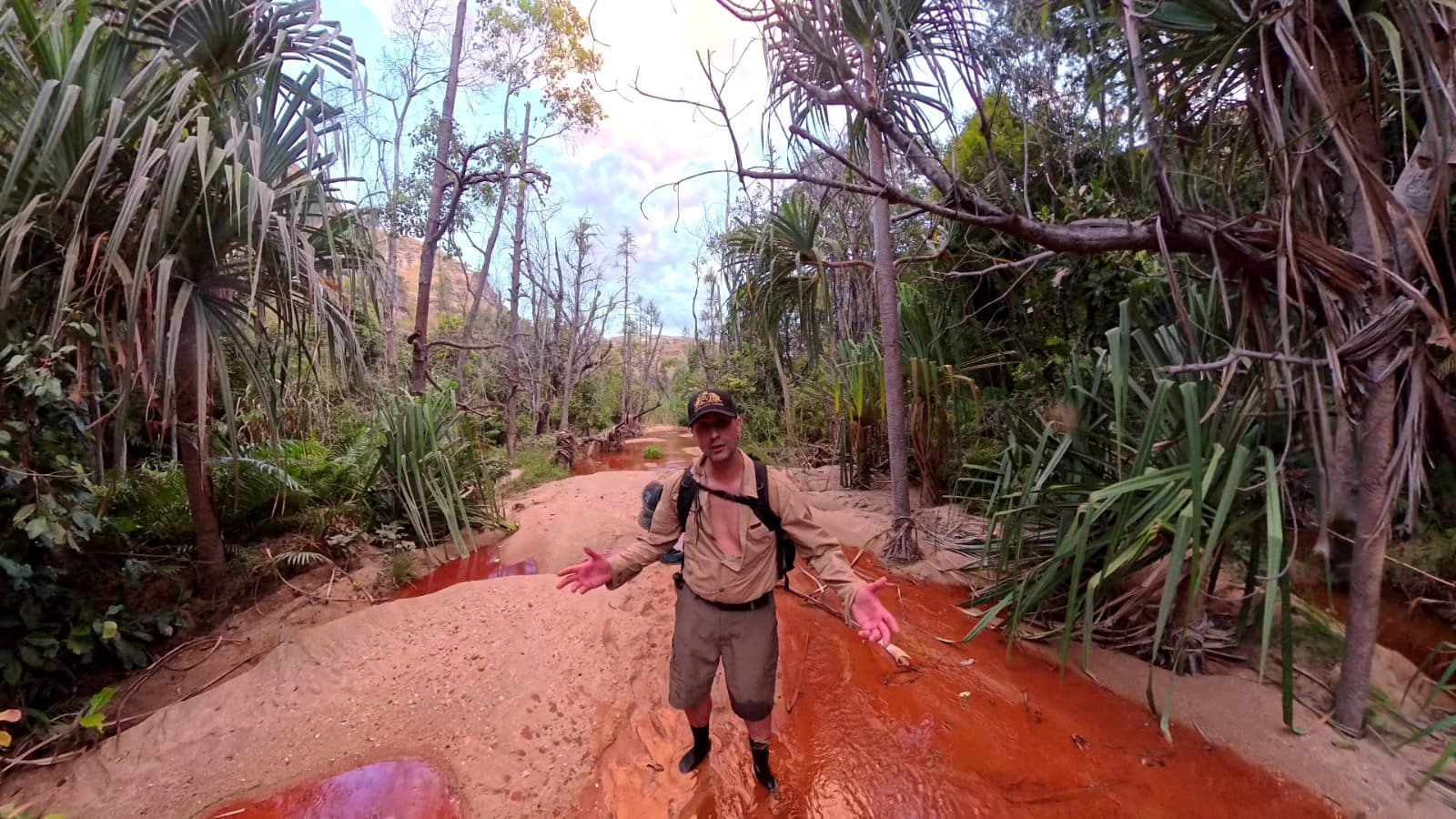 Progression le long d'une rivière ferrugineuse bordée de pandanus