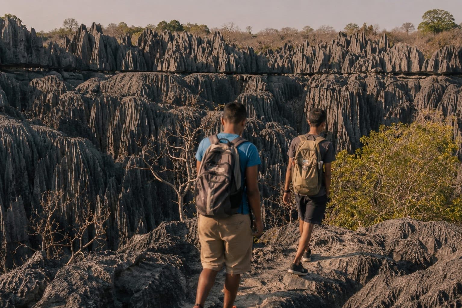 Randonneurs au cœur des formations minérales des Tsingy