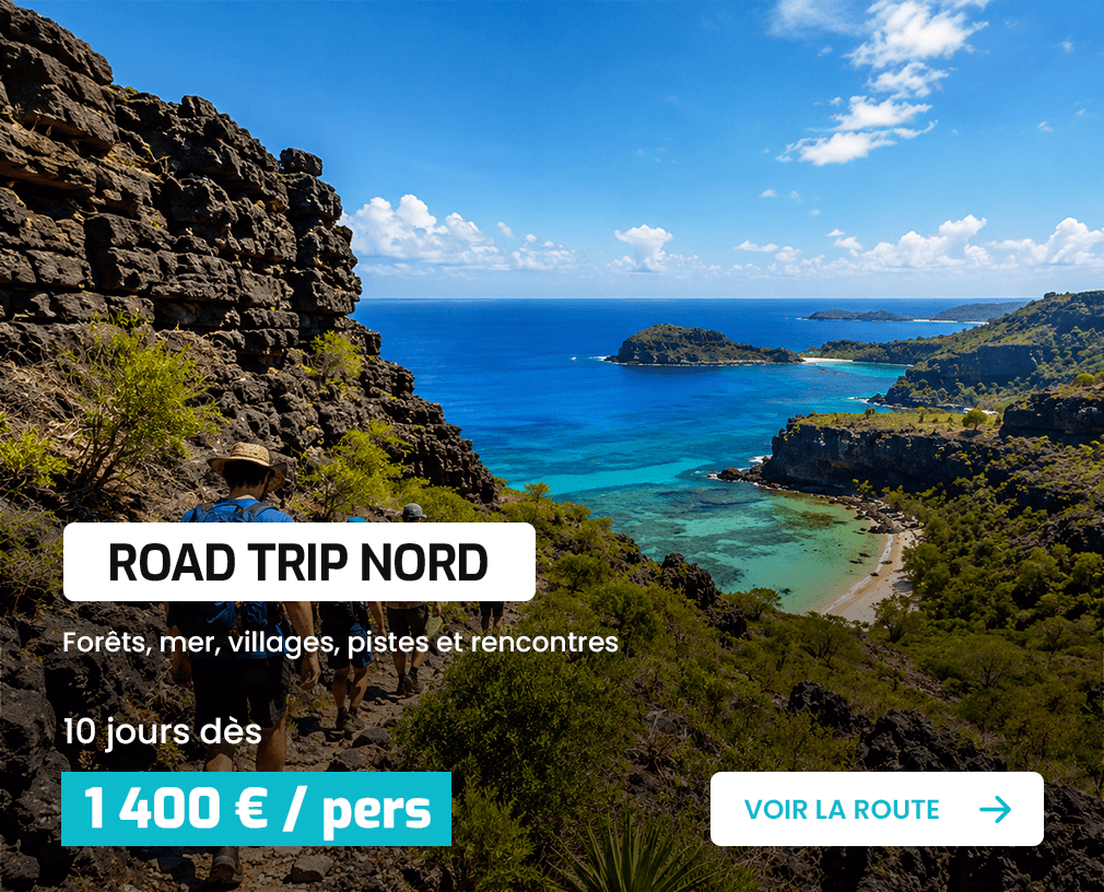 Road Trip Nord : forêts, mer, villages, pistes et rencontres, 10 jours dès 1 400 € par personne